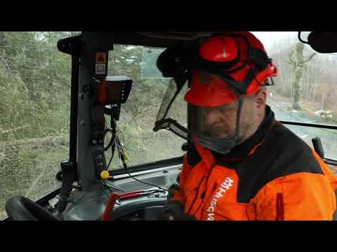 Säkert ekipage i skogen med backkamera 21-9425089 från Kellfri