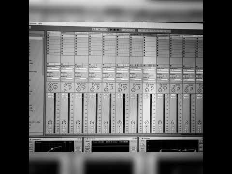 DLFDH Pt. 2 - Tortuga Paco