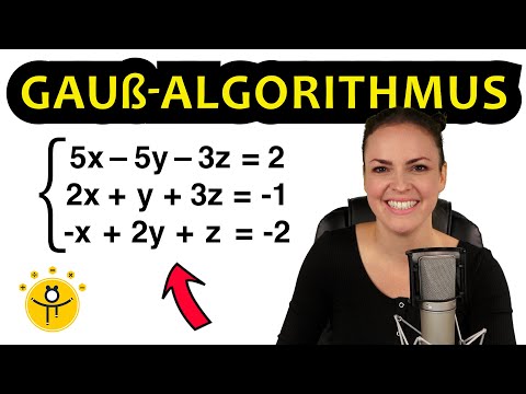 Gauß Algorithmus – Lineare Gleichungssysteme lösen