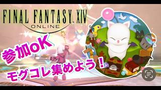 【#ff14 】モグコレとかいろいろ