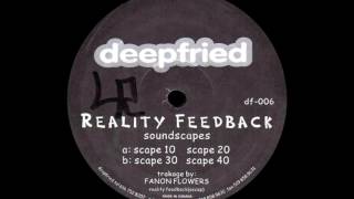 Reality Feedback - Scape 10 [Deepfried]