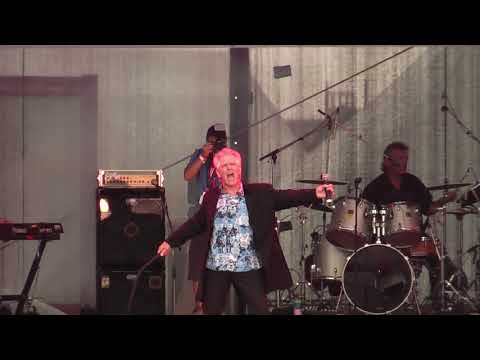 Dave Dee (Dozy, Beaky, Mick & Tich) live - Donauinselfest 2008