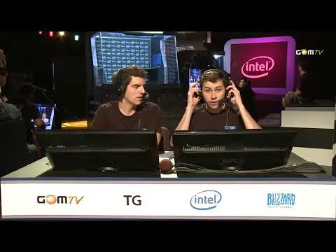 2010 GSL Season 1 Ro64 Match 11 Set 1   FruitDealer vs GuineaPig