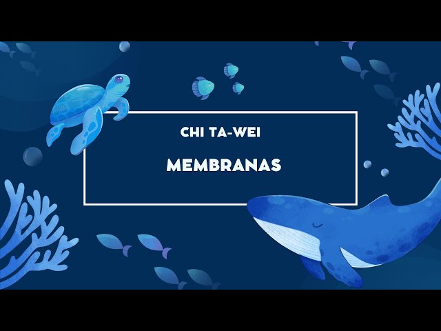 Vídeo relacionado con Membranas 2.ª Edición (NARRATIVA)