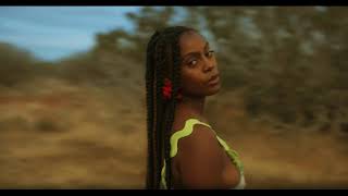 wild horses Music Video