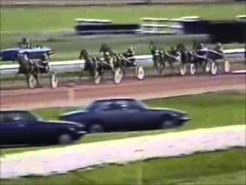 Grand Prix du Sud Ouest 1988 -Potin d'Amour