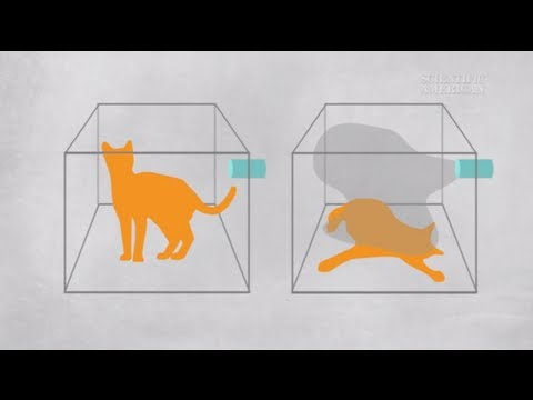 波動関数とは？- インスタントエッグヘッド #50 (What Is the Wave Function? - Instant Egghead #50)