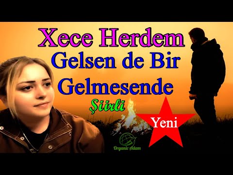 Xece Herdem Gelsen de Bir Gelmesen de Şiirli