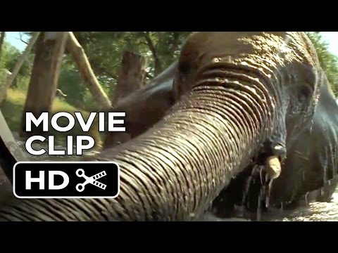 Roar Movie CLIP - Barrel (2015) - Melanie Griffith Movie HD