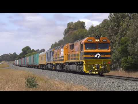 AURIZON'S NEW INTERMODAL, 81s BACK IN VICTORIA - Western Standard Gauge Action