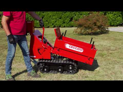 Ceccato Olindo CINGOLONE│Cassa di trasporto semovente con motore a benzina│Agrohof