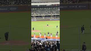 【PREMIER12 STARS】#千紘 #希美 #KAHO #各務礼美奈 #十元 日本VS韓国@台北ドーム20241115 #台湾チア #cheerdance #cheerleading #啦啦隊