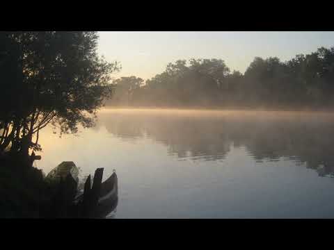 Guided Meditation: Vipassana Seeing Practice Seeing Clearly - Tara Brach