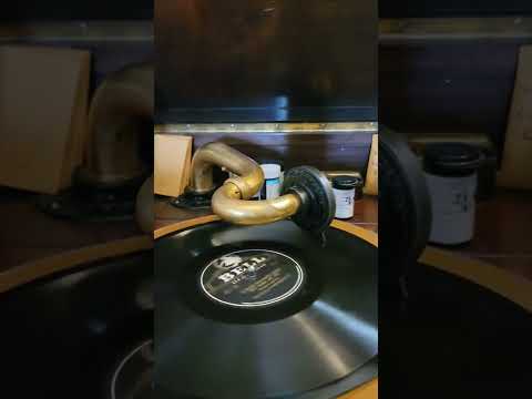 It Made You Happy - (Arthur Fields) Fred Hall & his Orchestra Bell Records #462 1926