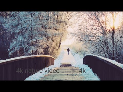 Beach 4K Paradise Relaxation Film | Meditation Relaxing Music, Nature Sounds Jay Shri Ram