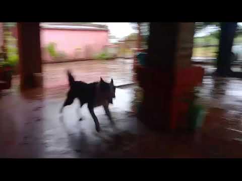 QUITILIPI Chaco lluvias