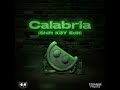 Calabria (feat. Fallen Roses, Lujavo & Lunis) (Shift K3Y Edit)