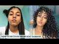 HOW TO GET YOUR CURLS BACK | Ultimate Heat Damage Repair Guide