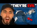 The Truly Deviant Nature Of Dolphins