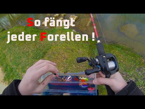 Forellenangeln mit Spinner so fängt jeder - Fishingprofi