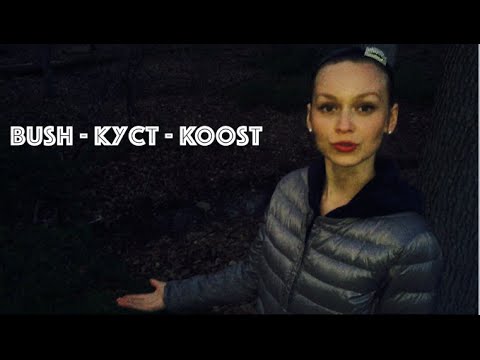 Learn Russian Language for Beginners - Lesson #34 - Nature