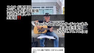 スカンクP 小暮が"西伊豆･仁科"からLIVE配信中！