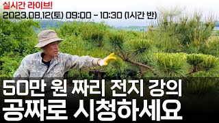 50만원 짜리 교육 공짜로 보세요 (소나무 전지 교육 실시간 생방송!) 09:00 - 10:30