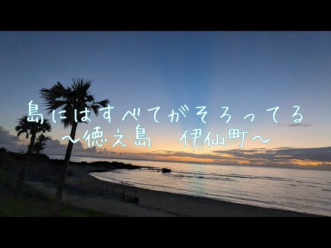 追大による伊仙町の魅力発信！2024th(No1)～島にはすべてがそろってる～
