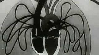 Experiments in the Revival of Organisms