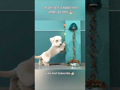 इस छोटे कुत्ते ने सबको गलत साबित कर दिया