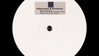 Habersham & Numinous ‎– Rhetorical Question (Chris Micali Remix)