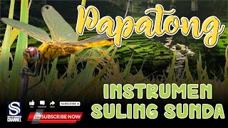 Download lagu INSTRUMEN SULING SUNDA PAPATONG mp3