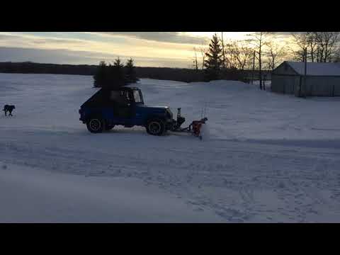 Roxor with Western V-Plow