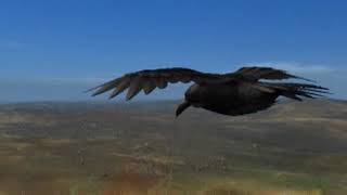 Warhammer: Dark Omen - Army march