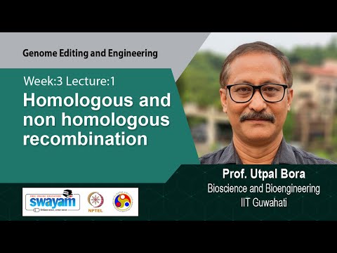 Genome Editing and Engineering Intro Video