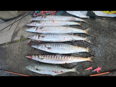 Pesca Spinning com Vinil Caseiro | Epic Fishing Day with Homemade Soft Bait w/subtitles 4K UHD