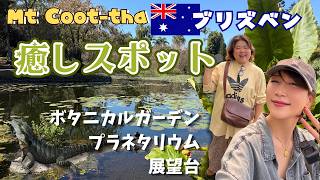 ブリズベン半日楽しめて癒される✨マウント・クーサ