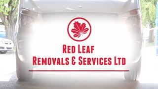 Preview of JDWYFNZ1kLKlfuCP0Mfc.