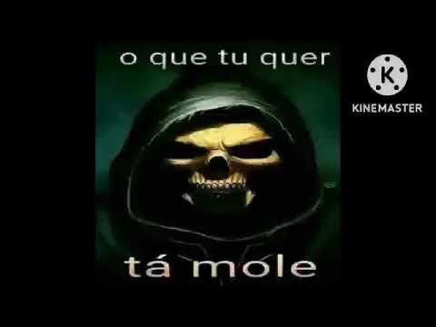 PALHAÇO DO FUNK - DEIXA SUA MARCA       (estourado)