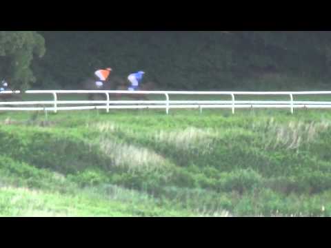 DFDS SEAWAYS Dansk Derby 2013