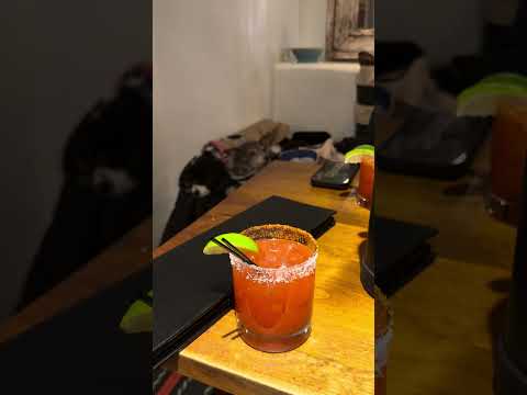 Happy hour with the dogs in Santa Fe