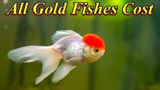 Gold Fish Different Variety Cost... All Gold Fishes Cost... Aquarium Fishes..  / Fish Aquarium Tamil