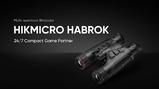 Habrok
