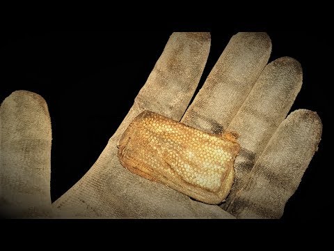 Vergoldete Funde und silberne Peitsche - SONDELN