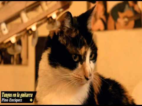 Amurado - Claudio "Pino" Enríquez - Tangos en la guitarra (2015)