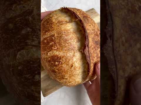 How To Achieve A More Open Sourdough Crumb  #sourdoughstarter #bakingbasics #breadforbeginners