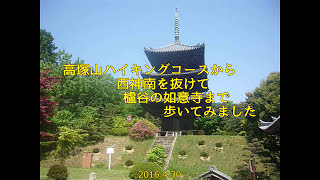 2016.04.30 丘を越えて続くみち:神戸市西区の高塚山から西神南を経て櫨谷の如意寺へ