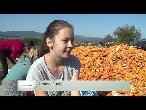 KRAJIŠKA ZEMLJA, 11  10  2020.,    FAHRO I ZELE, VIKICI