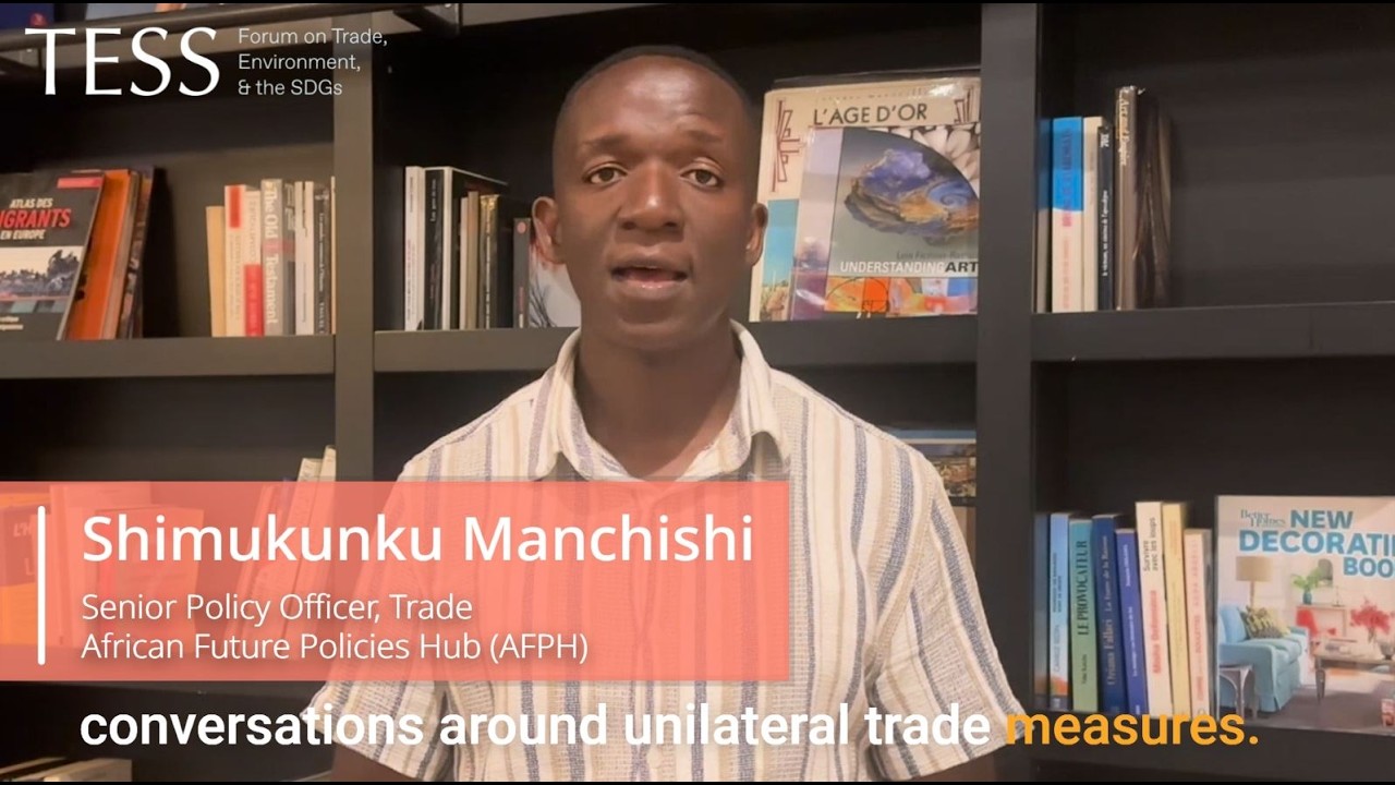 Trade & Sustainability Priorities: Shimukunku Manchishi, African Future Policies Hub (AFPH)