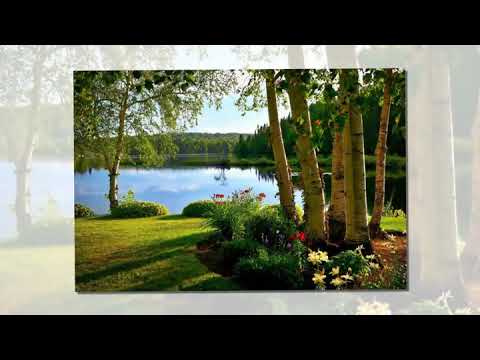 Mère-terre natale (Матушка-земля), chanson russe en français - русская песня на французском